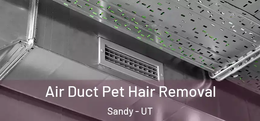  Air Duct Pet Hair Removal Sandy - UT