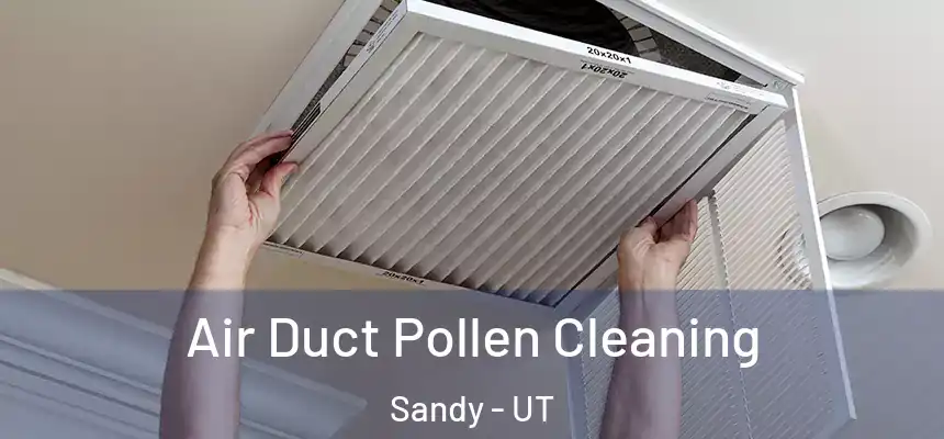  Air Duct Pollen Cleaning Sandy - UT