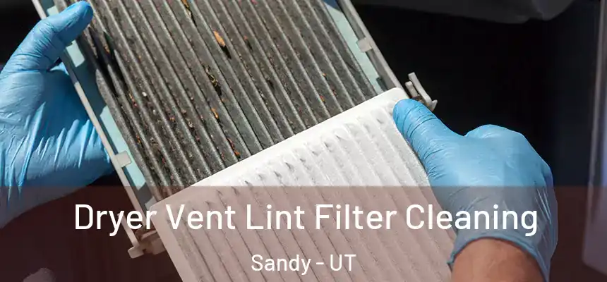  Dryer Vent Lint Filter Cleaning Sandy - UT