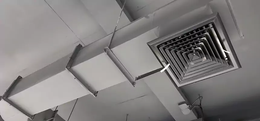 Our Pest Removal From Ducts Services in Sandy, UT