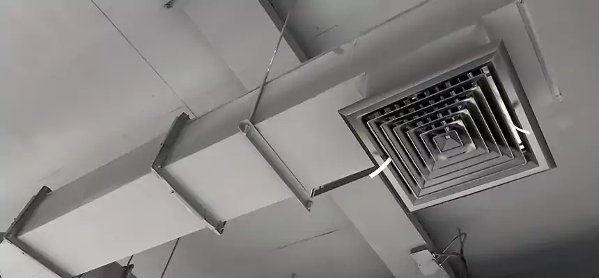 Our Rodent Droppings In Vents Services in Sandy, UT