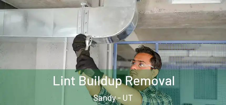  Lint Buildup Removal Sandy - UT