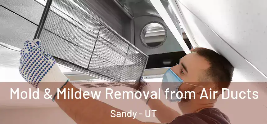  Mold & Mildew Removal from Air Ducts Sandy - UT
