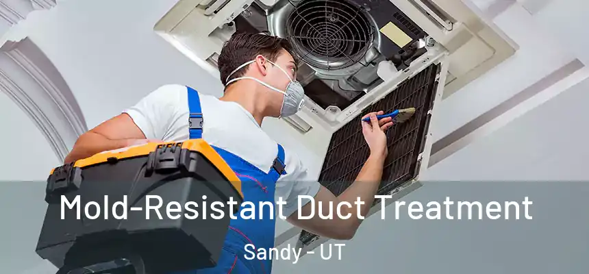  Mold-Resistant Duct Treatment Sandy - UT