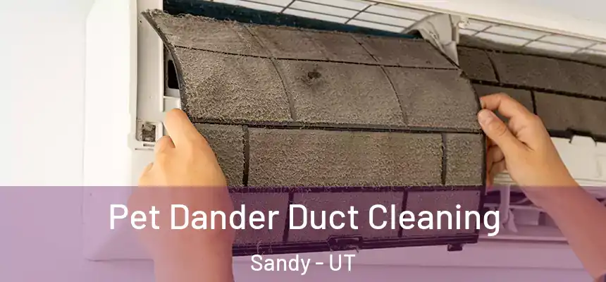  Pet Dander Duct Cleaning Sandy - UT