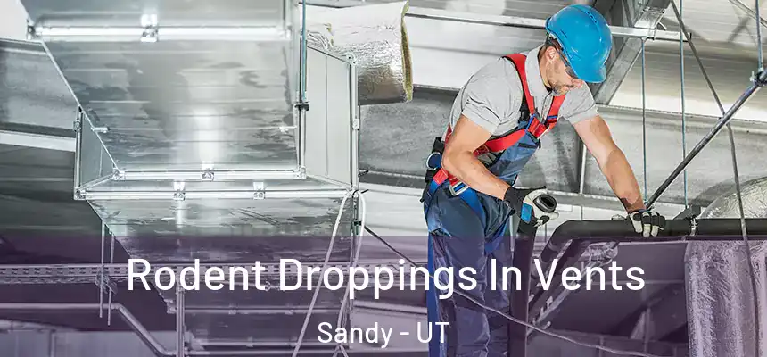  Rodent Droppings In Vents Sandy - UT