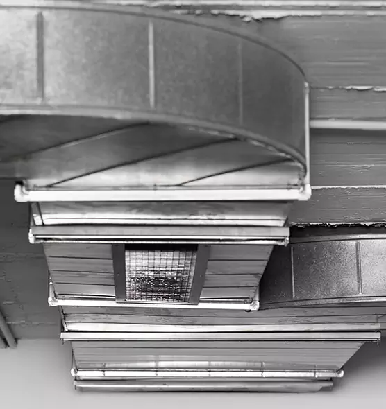 Professional Air Duct Pest Removal in Sandy, UT