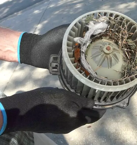 About Air Duct Rat Removal in Sandy, UT