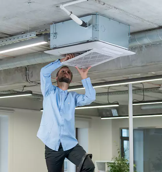 Advanced Rodent Droppings In Vents in Sandy, UT
