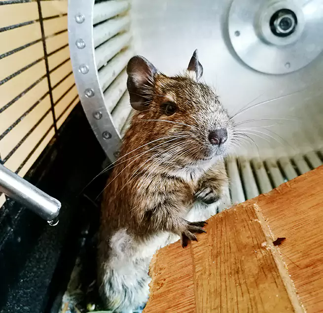 Why Homeowners & Businesses Trust Us Sandy, UT?