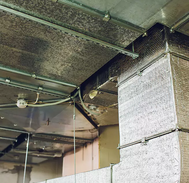 Why Homeowners & Businesses Trust Us in Sandy, UT?